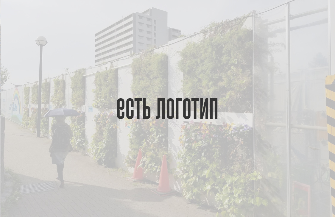 Есть только логотип