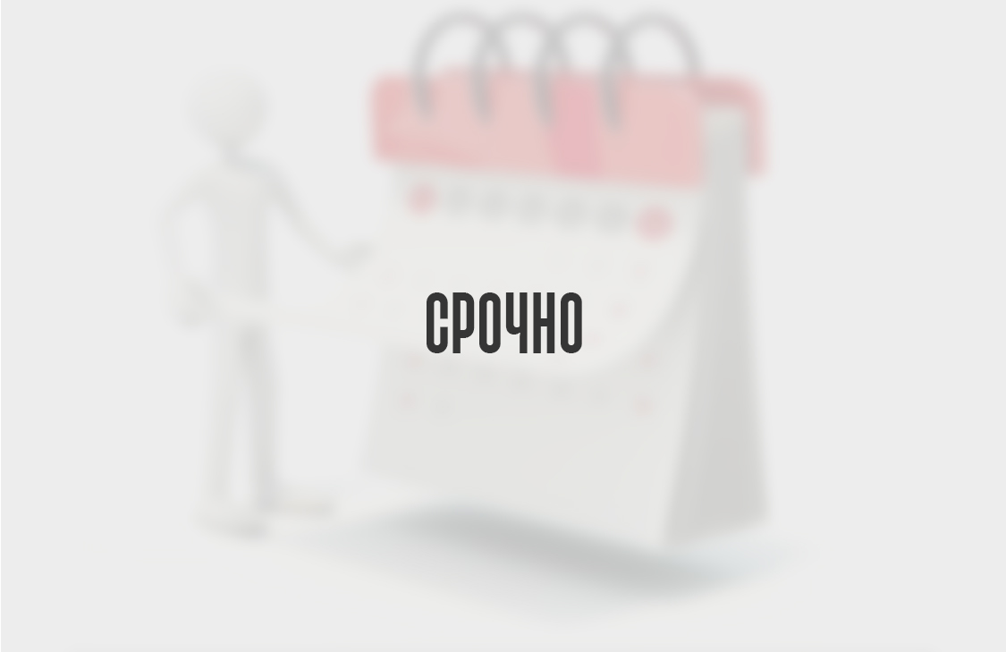 Срочно (до 24 часов)